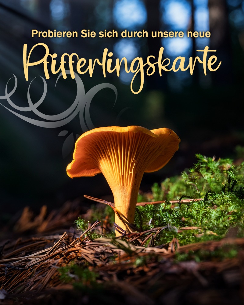 Featured image for “Pfifferlingszeit im Landhaus”