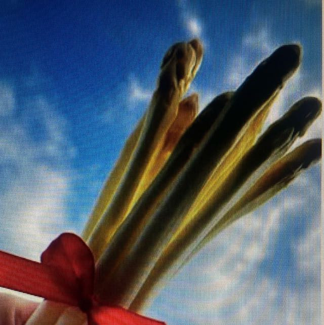 Featured image for “Maifelder Spargel”